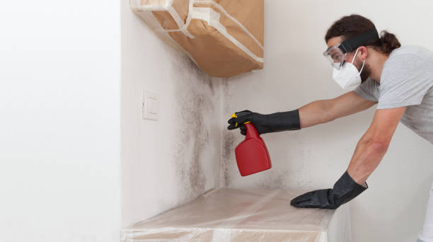 Professional Bathroom Mold Removal technician working in Buffalo Mills, PA