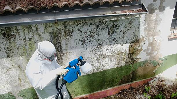 Trusted Crawl Space Mold Removal service in Buffalo Mills, PA - Cheap Mold Removal